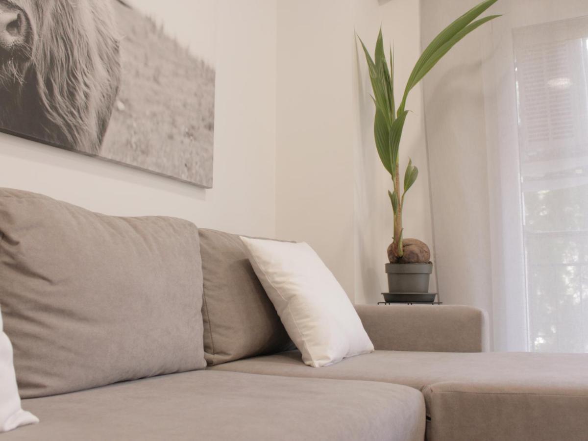 Cuenca Home エクステリア 写真